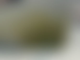 picture of pool that needs acid wash.