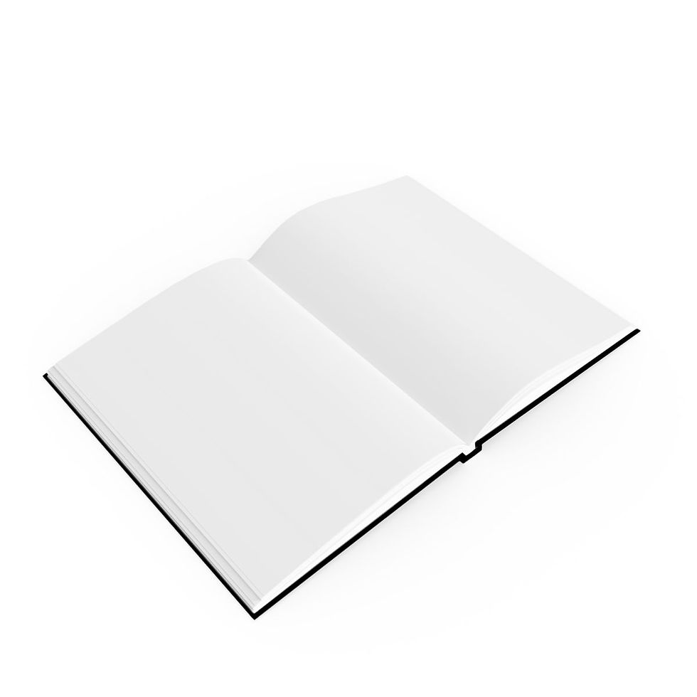 Thumbnail: Country Life Notebook Journal: Windermere Swan