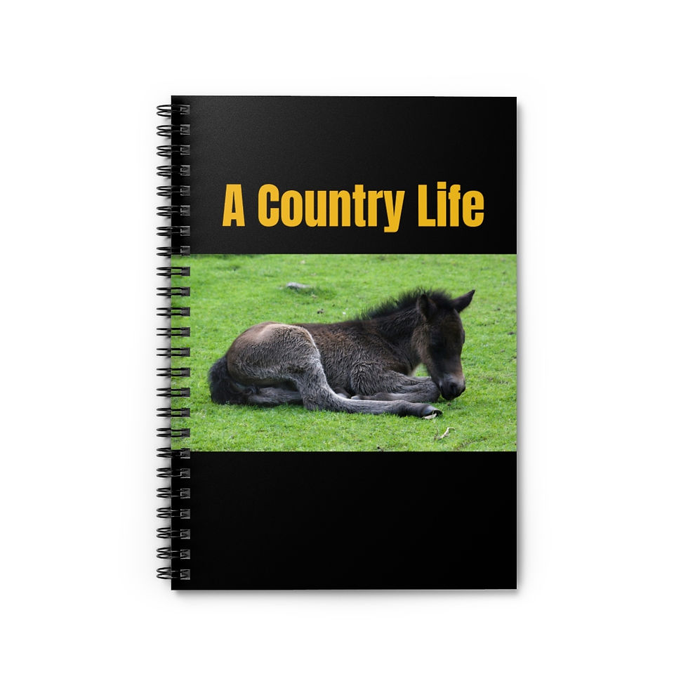 Thumbnail: A Country Life Newborn Foal - Spiral Notebook - Ruled Line