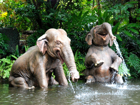 Exploring Magic Kingdom: Discover the Wonders of Adventureland 