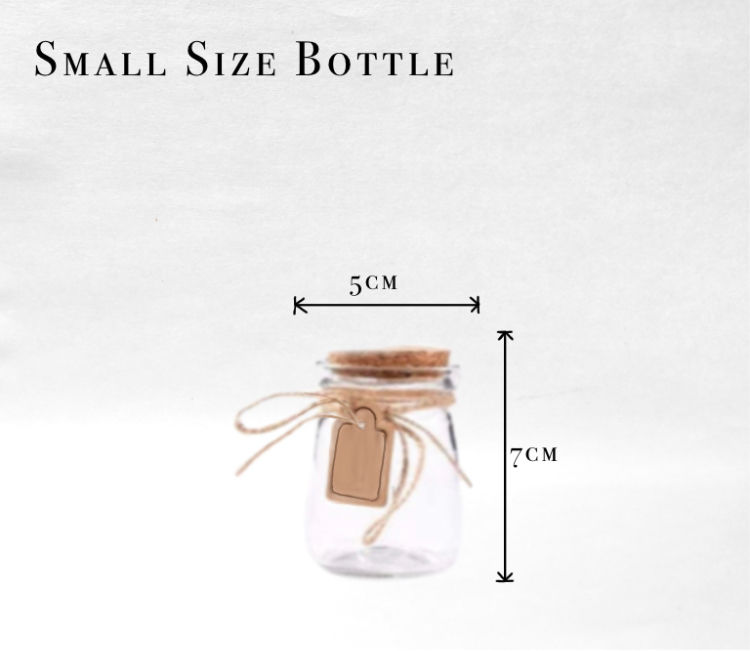 Thumbnail: Planted tropical bottle terrarium 