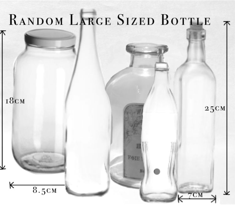 Thumbnail: Humid bottle terrarium 