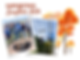 Harvesting Sunshine 2025 banner (800 x 600 px).png