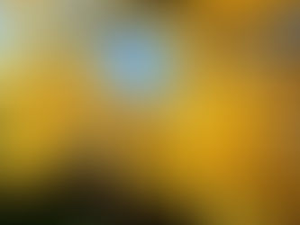 December (ending and new start)