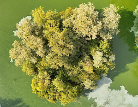 Drone aerial photography
