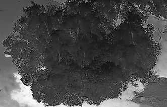 Drone aerial shot