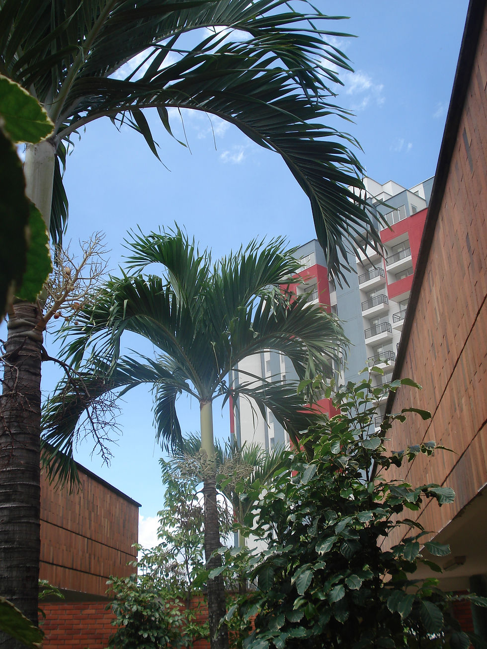 DSC00924.JPG
