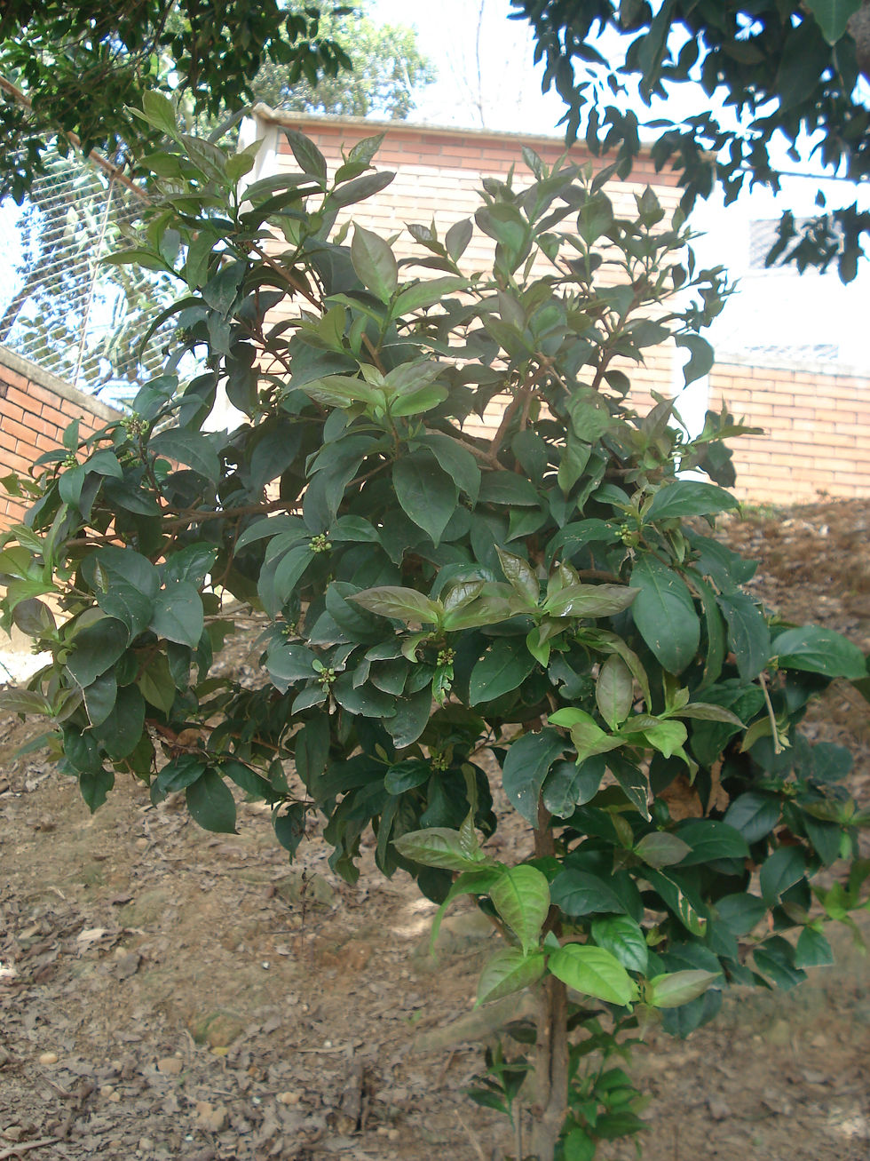 DSC00846.JPG