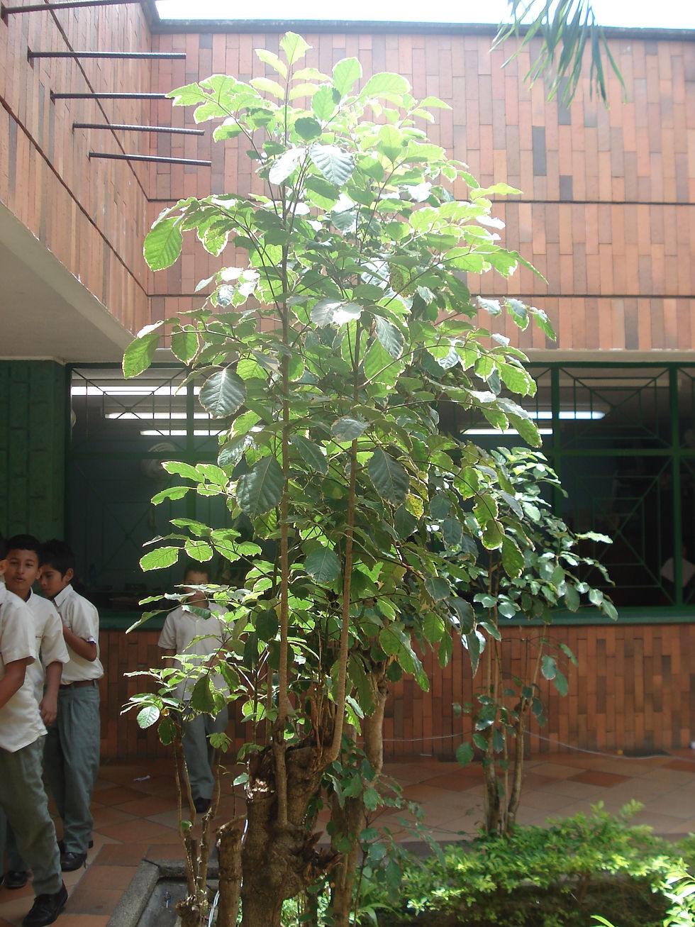 DSC00921.JPG