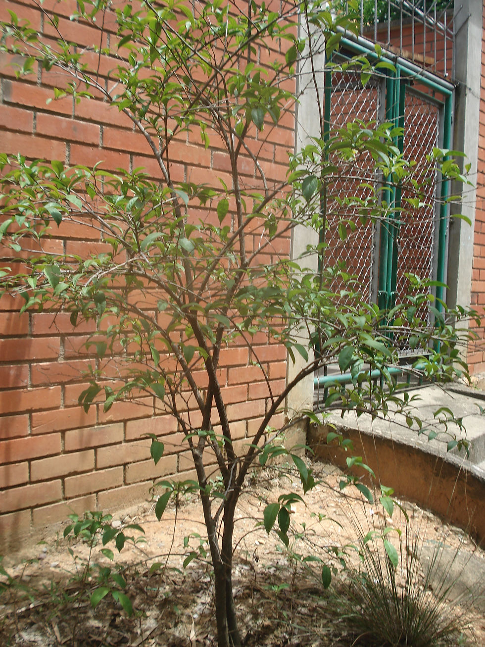 DSC00851.JPG