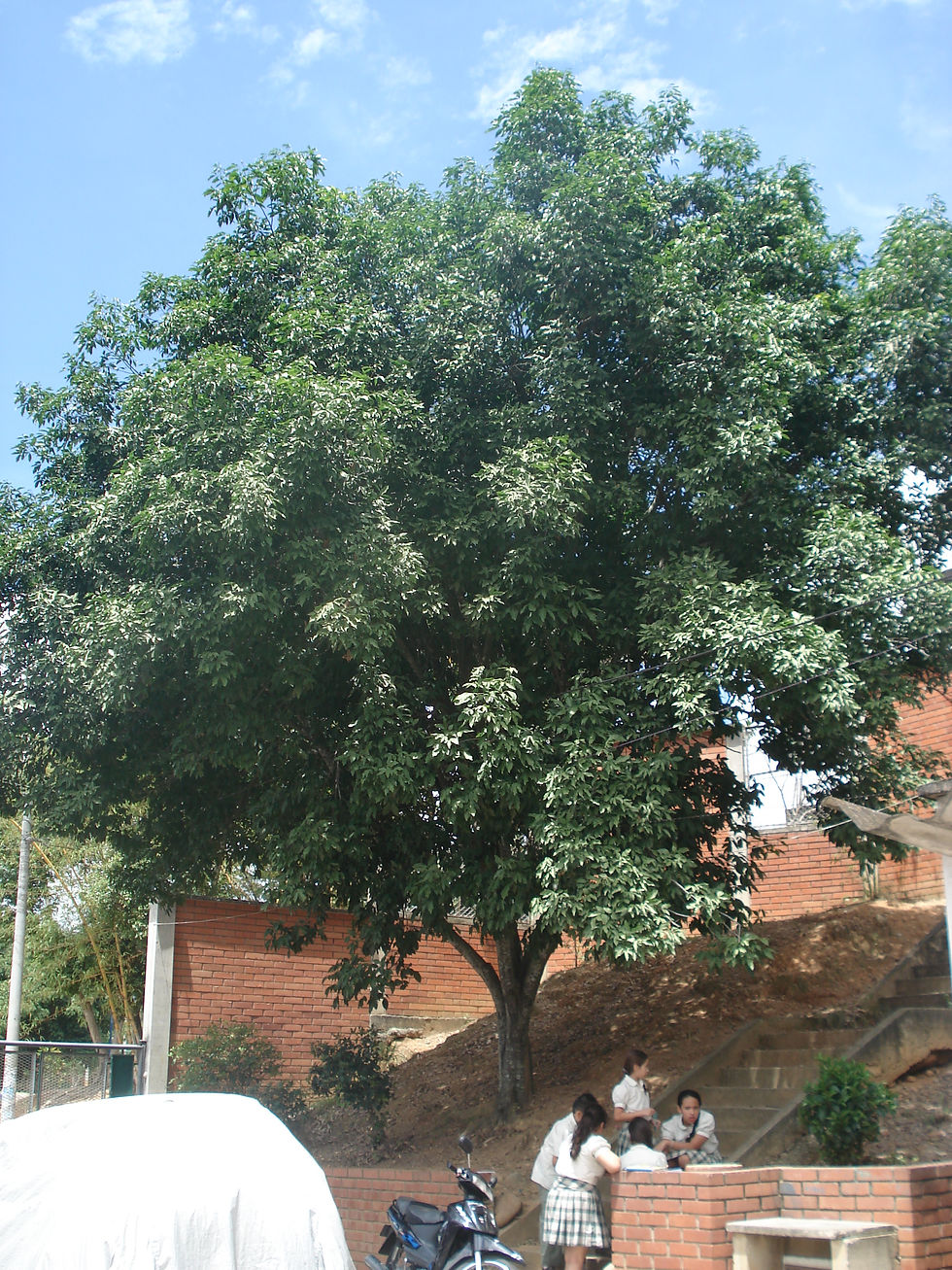 DSC00845.JPG