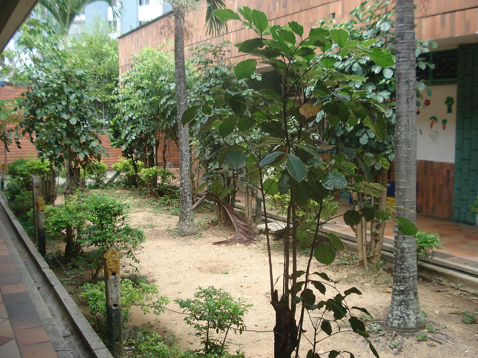 DSC00925.JPG