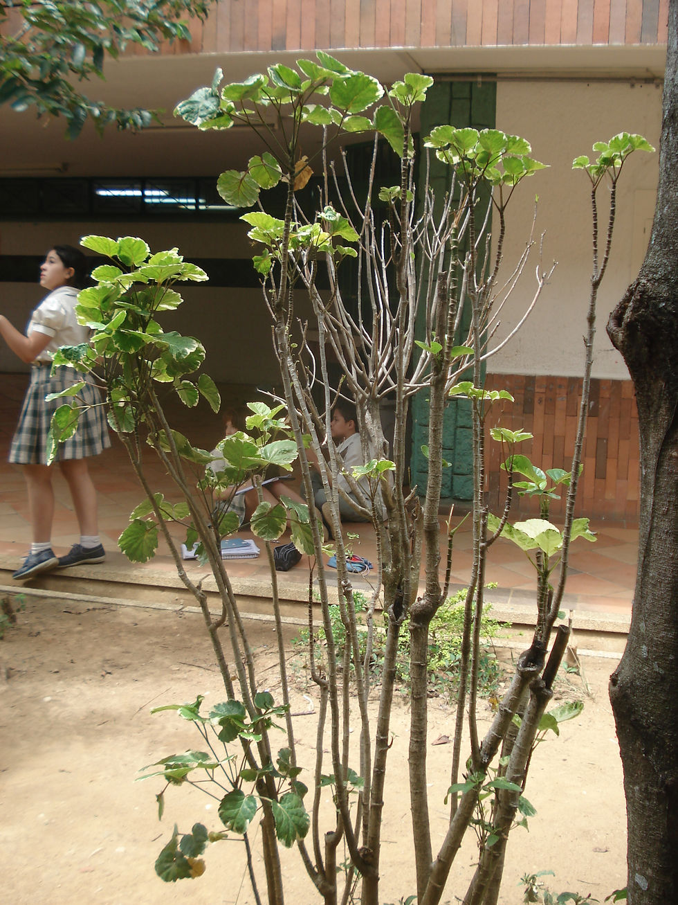 DSC00859.JPG