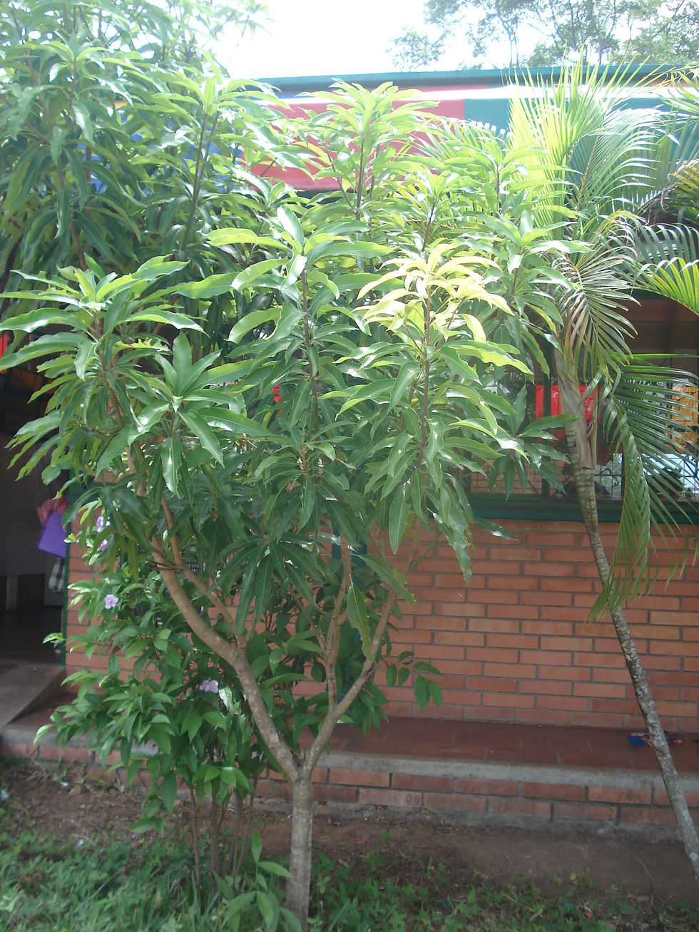 DSC00880.JPG