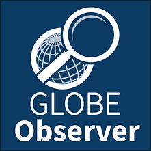 NASA Globe Observer logo