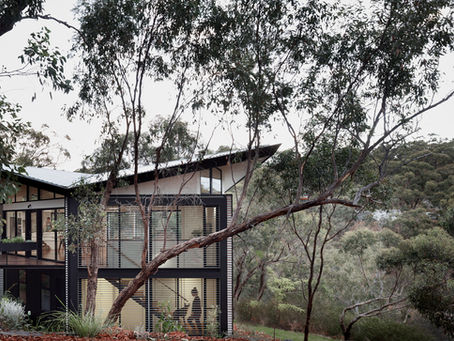Tess and Michael's place