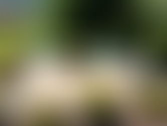 Concrete Cleaning in Chattanooga: Restore Your Driveway and Surfaces