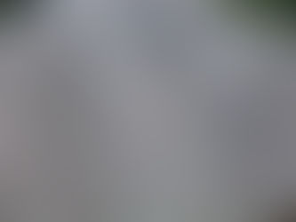 Roof Cleaning in Chattanooga: Why Those Black Streaks Matter