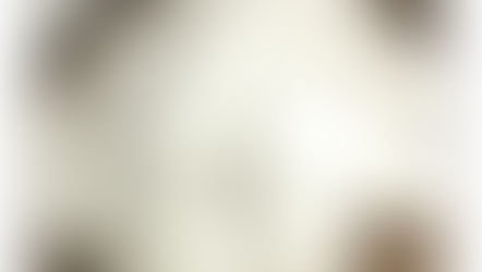 お正月餅、ご予約賜り中