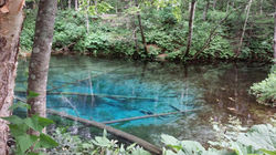 o0800045013380387415