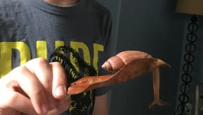 Mother’s Day Snail