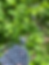 IMG_7658.HEIC