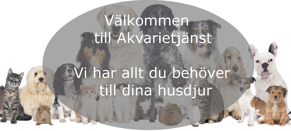 valkommen till akvarietjanst