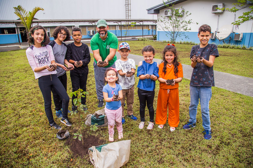 Plantação de mudas Joinville