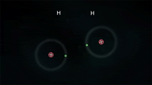 h2bond.gif