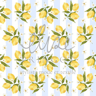 motif '' rayures acides '' @elisepringot