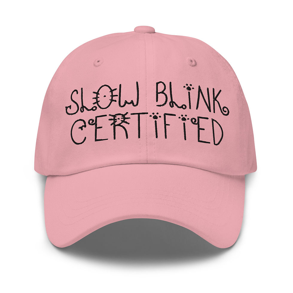 Thumbnail: "Slow Blink Certified" hat