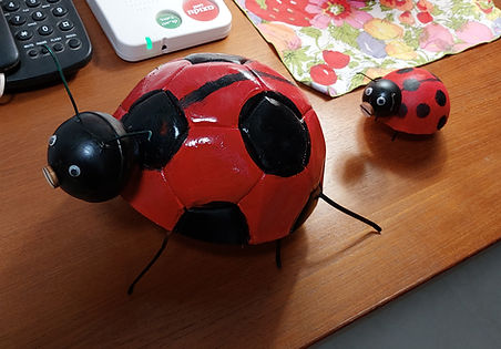 ladybug.jpg