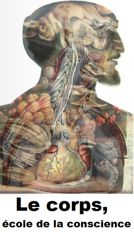le corps.png