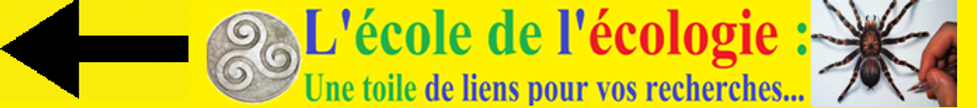 Retour a l'acceuil.png