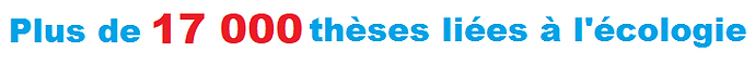 Plus de 17 000.png