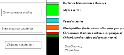 a34-1.png