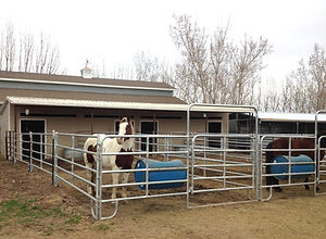 Highland Utah Horse Boarding Facility