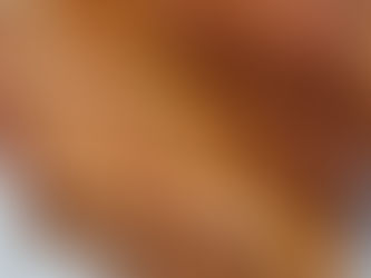 Guia básico para calcular madeira para telhado