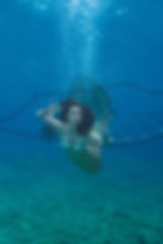 SireNea on Vis island, Croatia by Brett Stanley