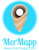 mermapp-text-logo-turqouise (1).png