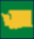 Thumbnail: The Evergreen State - Washington Pattern Detail
