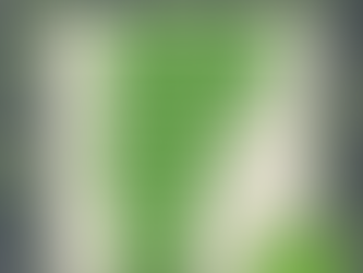 The Green Mountain Vermont Pixelated Quilt Pattern