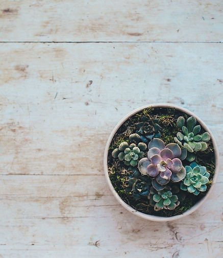 annie-spratt-zu-OdjJRa0w-unsplash (1)_ed