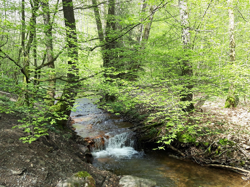 Passendes Bild zum Text