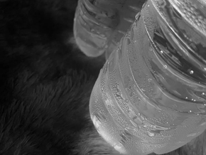 My 30 Day Water Fast Journey