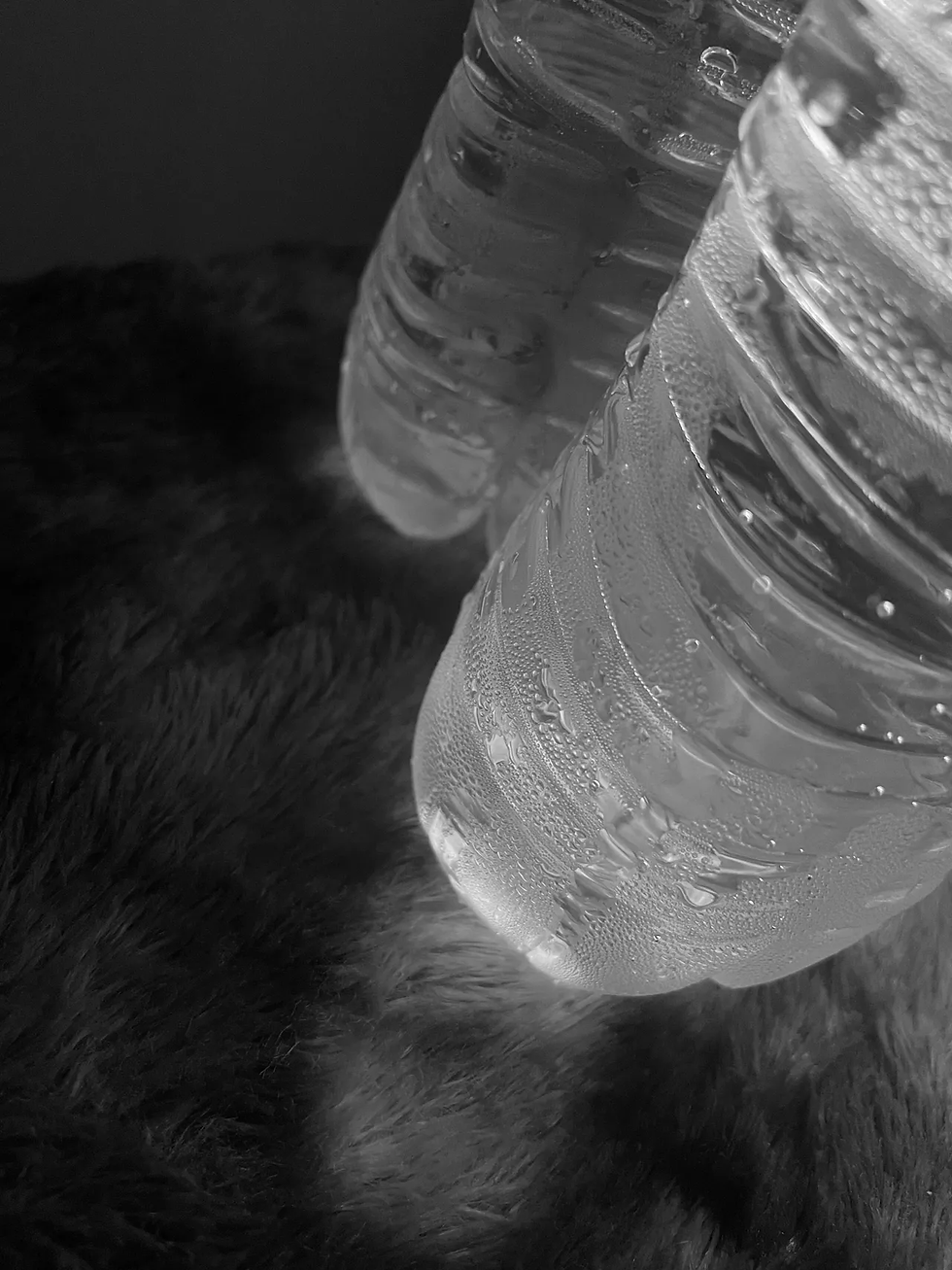 My 30 Day Water Fast Journey