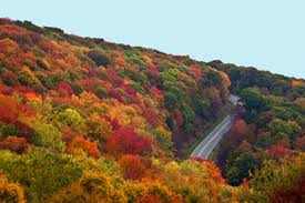 Cherokee National Forest