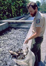 Tellico River Hatchery