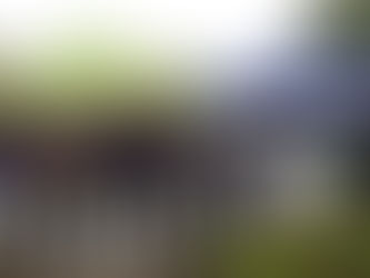 2024 Community Report 