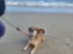 Zoe at the beach